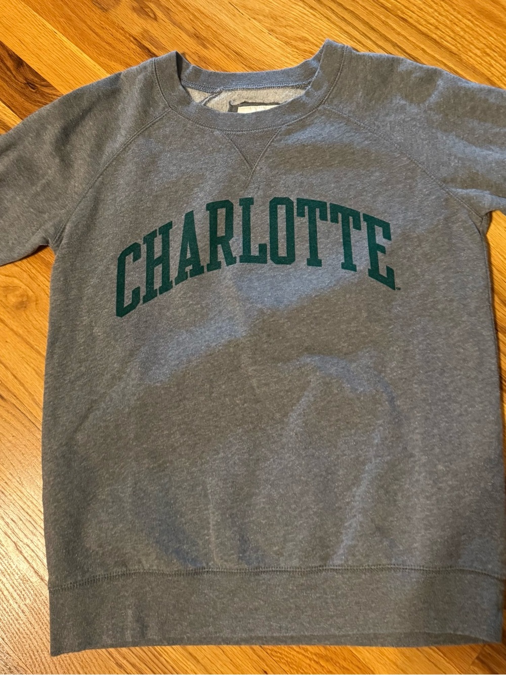 UNC-Charlotte Gray Crewneck Sweatshirt for youth